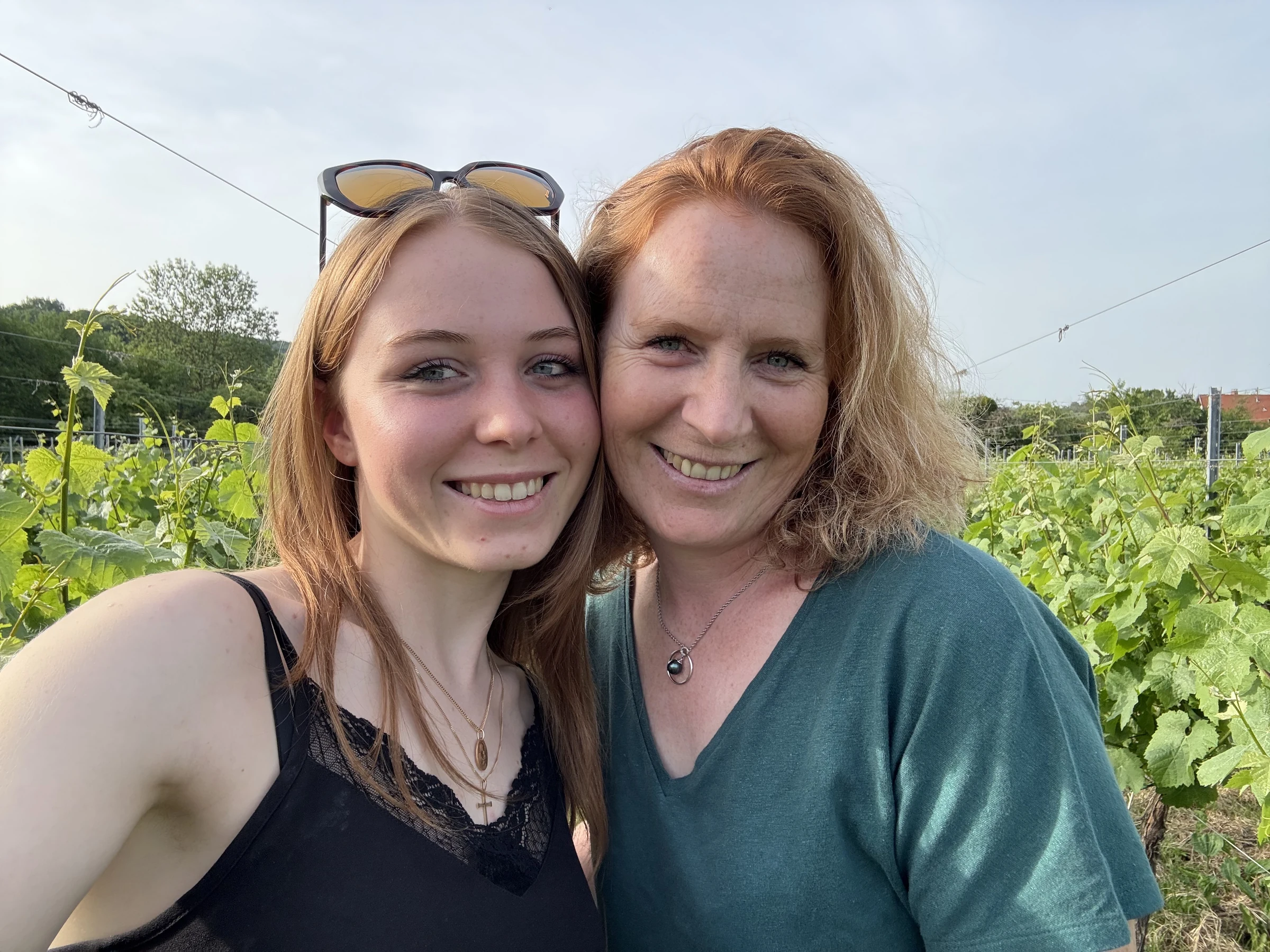Deux générations réunies dans les vignes